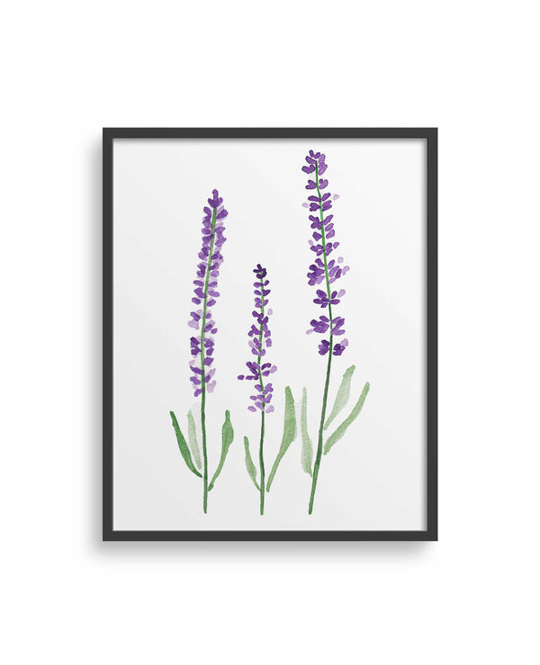 Lavender Print