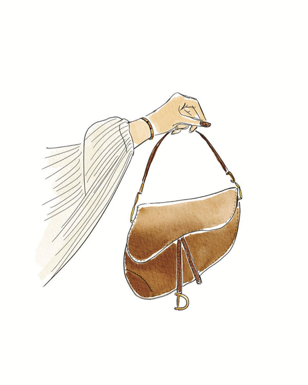 Saddle Bag Art Print